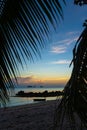 View through the leaves of palm trees on the ocean. There is a wooden boat on the water. Sunset. Sand beach. Romance Royalty Free Stock Photo