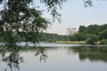 view of the Lebedyansky pond in Izmailovsky park Royalty Free Stock Photo