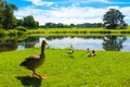 View of Leeds Castle gardens  United Kingdom Royalty Free Stock Photo