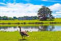 View of Leeds Castle gardens  United Kingdom Royalty Free Stock Photo