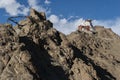 View of Leh city, the capital of Ladakh, Northern India.