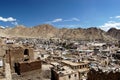 View on Leh (Ladakh)