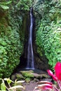 View of Leke Leke Waterfall located in the norh of Bali Royalty Free Stock Photo