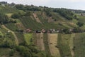 The view of Lendavske Gorice with wine yards