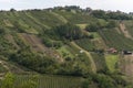 The view of Lendavske Gorice with wine yards