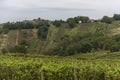 The view of Lendavske Gorice with wine yards