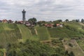 The view of Lendavske Gorice with wine yards