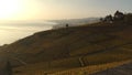 View of the Lavaux terraces, lake LÃÂ©man, Switzerland