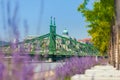 View of Liberty Bridge over Danube and Buda Castle, Budapest Royalty Free Stock Photo