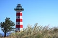 View of a light house with tall grass in front Royalty Free Stock Photo
