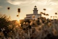 View of lighthouse and flowers in Capo Testa at sunset - Sardinia Royalty Free Stock Photo