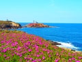 Lighthouse of Illa Pancha in Ribadeo, Galicia - Spain