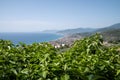 View of the Ligurian Ponente coast