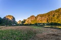 Limestone forest in South Sulawesi Indonesia