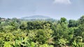 View limestone Mountain Greenwood in Bogor banana tree