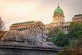 Lion of Chain Bridge view of Buda Castle at dramatic evening, Budapest, Hungary