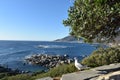 View of the Lions Head with a seagull in front in Cape Town, South Africa Royalty Free Stock Photo