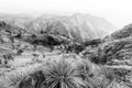 View at the Little Adam`s Peak and the Ella Rock, Ella, Sri Lanka Royalty Free Stock Photo