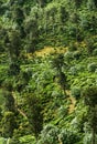 View from the Little Adam's Peak, Sri Lanka Royalty Free Stock Photo