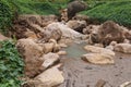 View of a little cascade falls of water over mountain river rocks Royalty Free Stock Photo