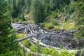 View of the Little Firehole River along the Mystic Falls waterfall hiking trail in Yellowstone National Park