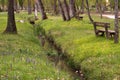 View of a little stream in the park with benches