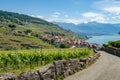 View on a little winery village called Rivaz, Lavaux Switzerland