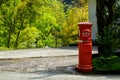 View of local red postbox standing on local street with green plant, tree and fresh light green bamboo background in Kurokawa