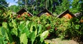 View of a lodge on stilts in the Amazon rain forest Royalty Free Stock Photo