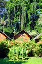 View of a lodge on stilts in the Amazon rain forest Royalty Free Stock Photo