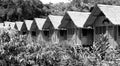 View of a lodge on stilts in the Amazon rain forest Royalty Free Stock Photo