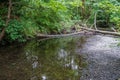 Des Moines Creek Logjam