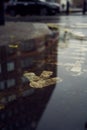 view of london street and cars in reflection of puddle