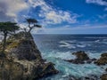 View of the Lone Cypress tree on the 17 mile drive in Monterey, California with turquoise ocean waves Royalty Free Stock Photo