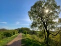 Lone runner social distancing in Nottinghamshire, England