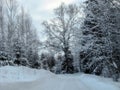 a view looking across the road in the snow near the tree lined path Royalty Free Stock Photo