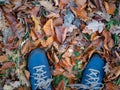 View looking down at a pair of blue mens walking boots in autumn Royalty Free Stock Photo