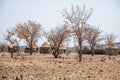 A view looking towards in a Himba tribe village in Namibia Royalty Free Stock Photo