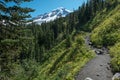 Heliotrope Ridge trail through forests to Mount Baker, Washington State Royalty Free Stock Photo