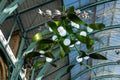 A view looking up at the mistletoe Christmas lights in Covent Garden, London