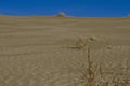 Looking up the large sand dune Royalty Free Stock Photo