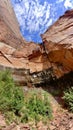 Emerald Pools Trail at Zion National Park