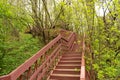 a view, looking up for the top of a long wooden staircase located in a forest. Part of a hiking trail and used to connect Royalty Free Stock Photo