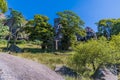 A view looking up towards the rock escarpment of the Roaches, Staffordshire, UK Royalty Free Stock Photo