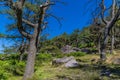 A view looking up towards the summit of the Roaches, Staffordshire, UK Royalty Free Stock Photo