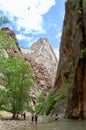 The Narrows at Zion National Park