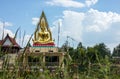 The view looks through the grass to the beautiful golden Buddha image enshrined on the roof pedestal Royalty Free Stock Photo