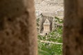 View from  the loophole in the outer wall of the Temple Mount to the Tomb of Zechariah and the Jewish cemetery in the Old Town of Royalty Free Stock Photo