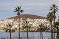 View of Los Cristianos village, with palm trees in front. Tenerife, Canary Islands.