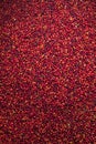 Close up of red raw coffee beans Royalty Free Stock Photo